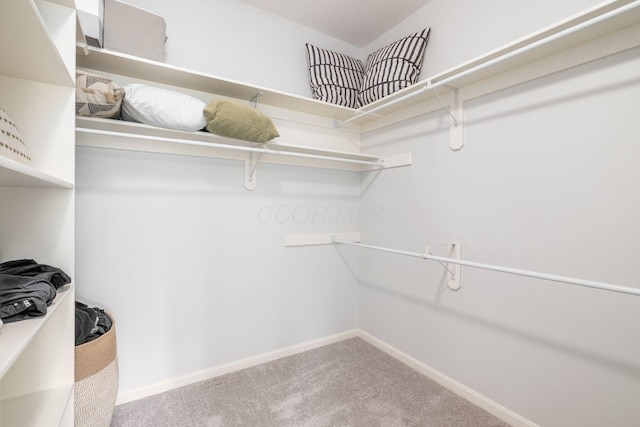 9378 Pine Creek Dr, Powell, OH 43065 - spacious closet with carpet floors