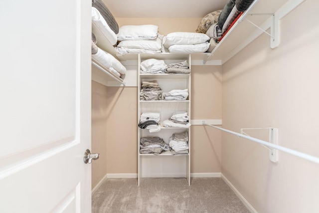 9378 Pine Creek Dr, Powell, OH 43065 - walk in closet with carpet flooring