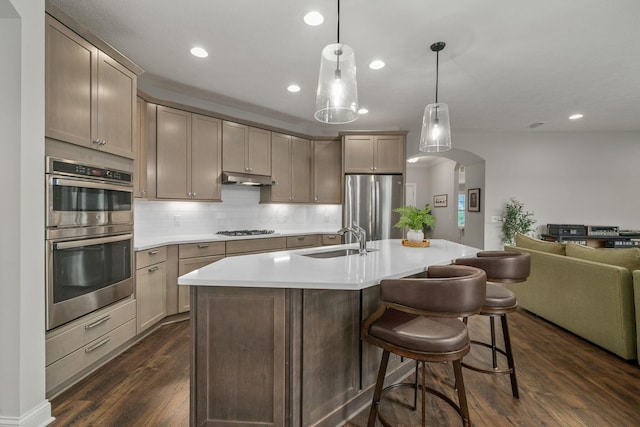 6678 Trinity Mist Way, Delaware, OH 43015 - kitchen with stainless steel appliances, a sink, open floor plan, dark wood-type flooring, and under cabinet range hood