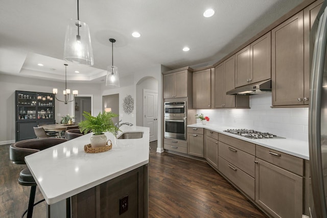 6678 Trinity Mist Way, Delaware, OH 43015 - kitchen featuring under cabinet range hood, a sink, appliances with stainless steel finishes, dark wood-style flooring, and recessed lighting