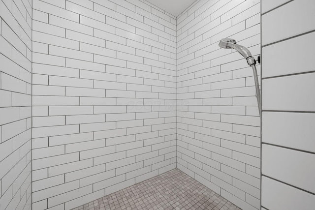 6678 Trinity Mist Way, Delaware, OH 43015 - bathroom featuring a tile shower