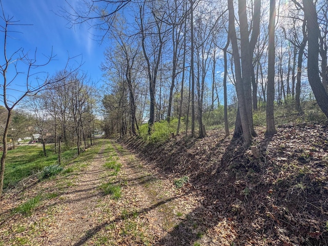 view of undeveloped land