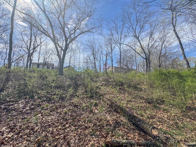 view of nature