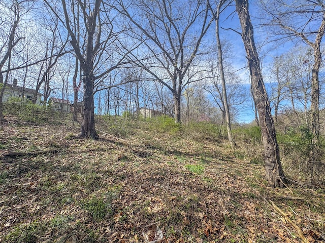 view of nature