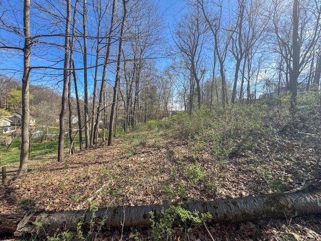 view of undeveloped land
