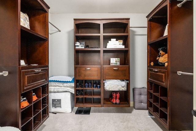walk in closet with carpet