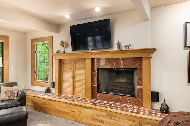 living area featuring a fireplace