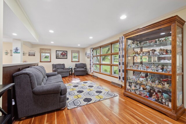 living room featuring wood finished floors and recessed lighting