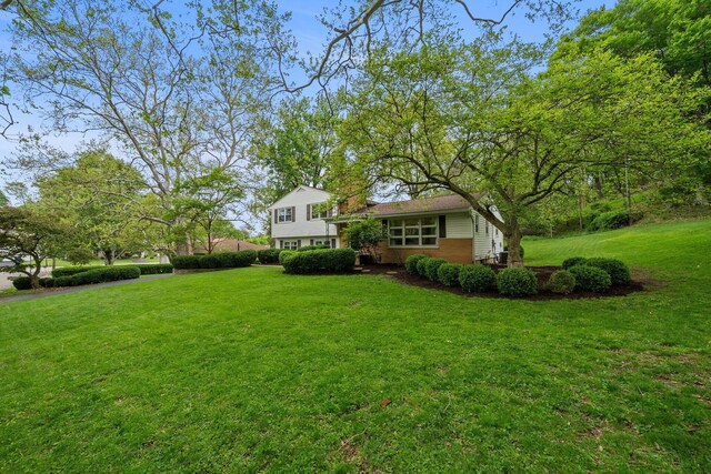 view of green lawn