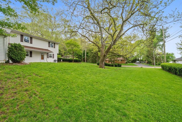 view of grassy yard