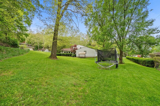 view of green lawn with a trampoline