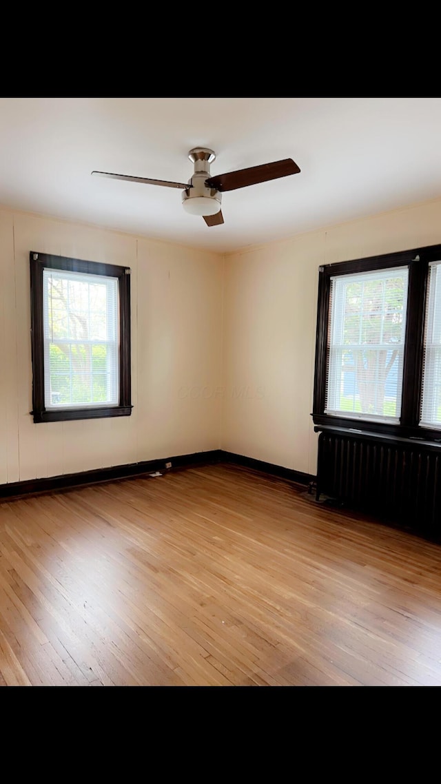 1065 Sunbury Rd, Columbus, OH 43219 - empty room featuring radiator, light wood-style flooring, and ceiling fan