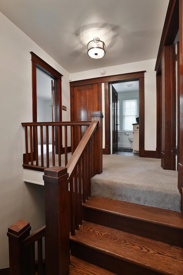 2663 Glen Echo Dr, Columbus, OH 43202 - staircase featuring carpet flooring