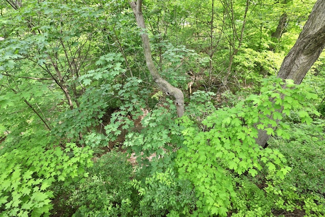 2663 Glen Echo Dr, Columbus, OH 43202 - view of tree filled area