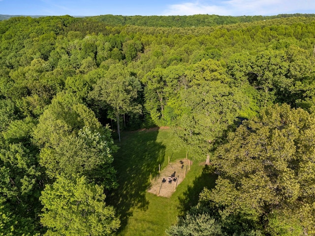 18156 Thompson Ridge Rd, Laurelville, OH 43135 - aerial view of a heavily wooded area