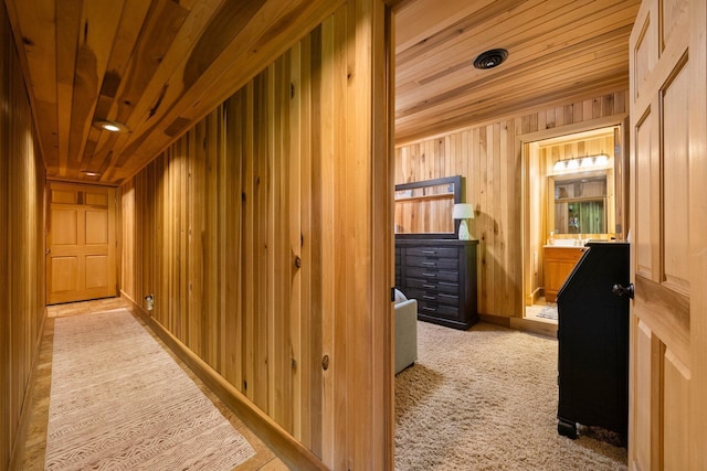 18156 Thompson Ridge Rd, Laurelville, OH 43135 - hall with wooden walls, wooden ceiling, and carpet
