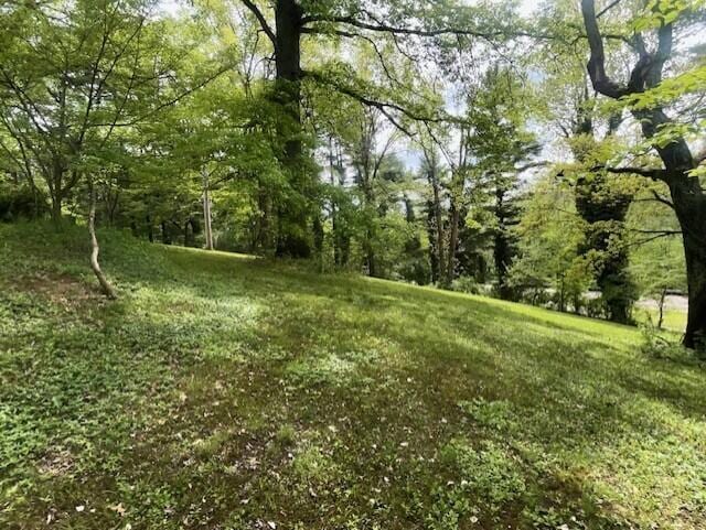 view of tree filled area