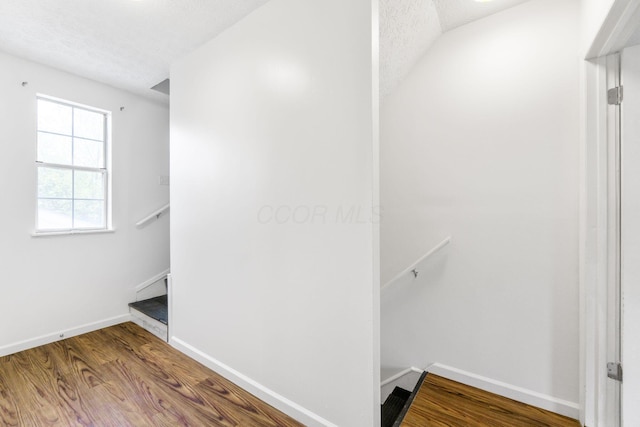 spacious closet featuring wood finished floors