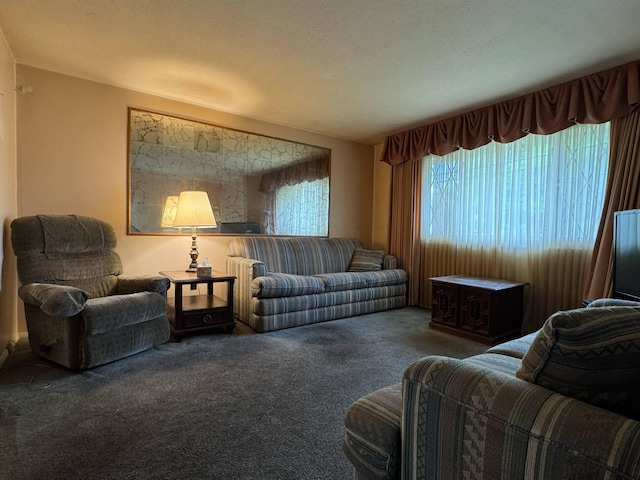 3457 Petzinger Rd, Columbus, OH 43232 - view of carpeted living room