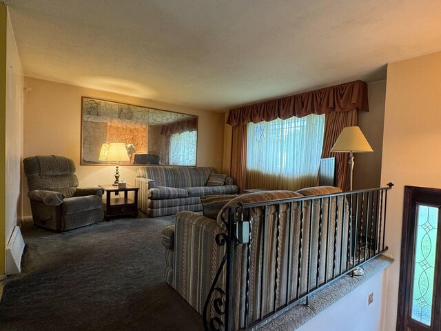 3457 Petzinger Rd, Columbus, OH 43232 - carpeted living area with healthy amount of natural light