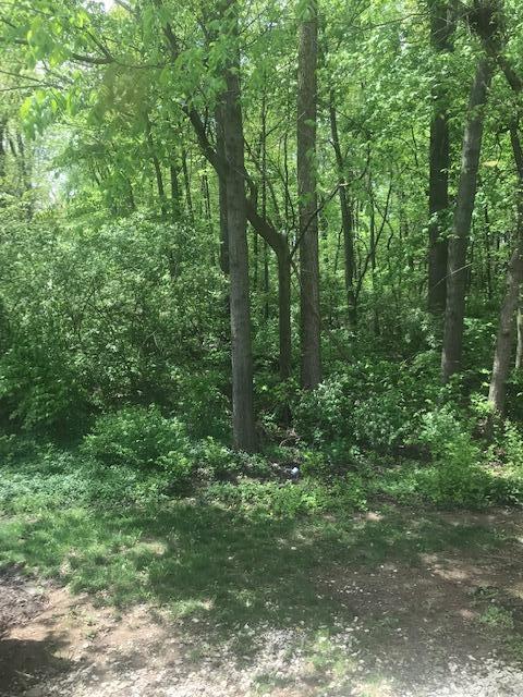 1817 Ridgebury Dr, Hilliard, OH 43026 - view of wooded area