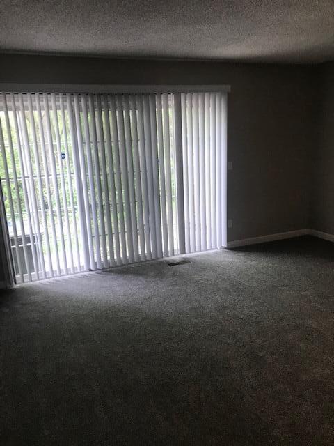 1817 Ridgebury Dr, Hilliard, OH 43026 - carpeted empty room featuring plenty of natural light, a textured ceiling, and baseboards