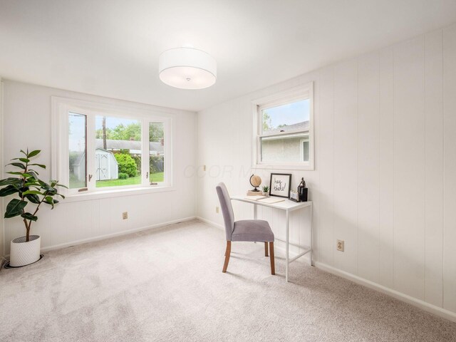 office space with carpet, healthy amount of natural light, and baseboards