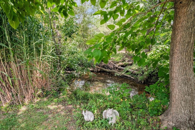 10842 Johnstown Rd, New Albany, OH 43054 - view of undeveloped land
