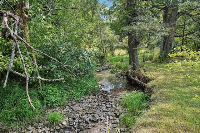 10842 Johnstown Rd, New Albany, OH 43054 - view of undeveloped land