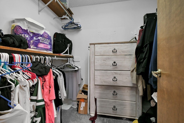 10129 Granden St, Pickerington, OH 43147 - walk in closet featuring carpet