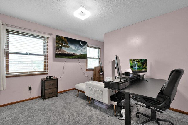 10129 Granden St, Pickerington, OH 43147 - office space featuring light carpet, baseboards, and a textured ceiling