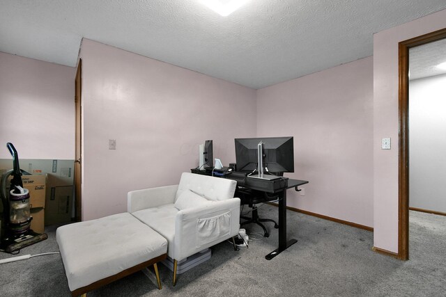 10129 Granden St, Pickerington, OH 43147 - carpeted office featuring a textured ceiling and baseboards