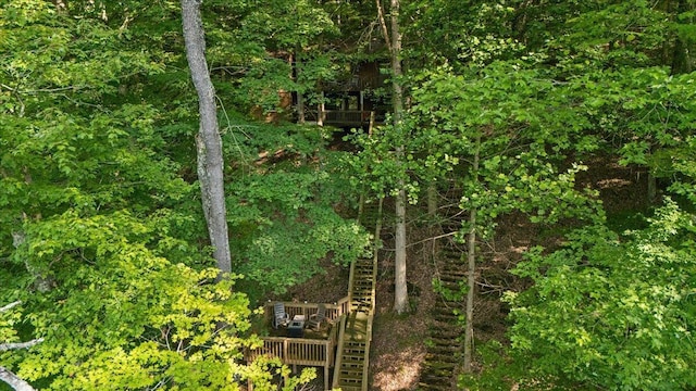 512 Natchez Ln, Sugar Grove, OH 43155 - view of woods