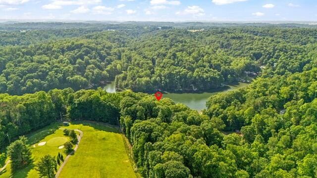 512 Natchez Ln, Sugar Grove, OH 43155 - drone / aerial view of a forest and a nearby body of water