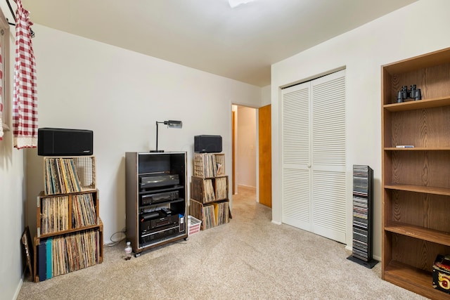 misc room featuring carpet floors