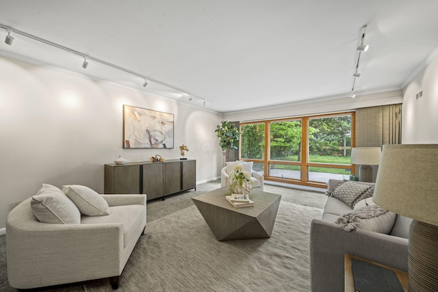 2249 E Broad St, Columbus, OH 43209 - living area with rail lighting, carpet floors, crown molding, and baseboards