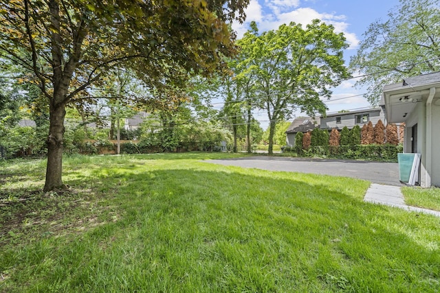 2249 E Broad St, Columbus, OH 43209 - view of green lawn
