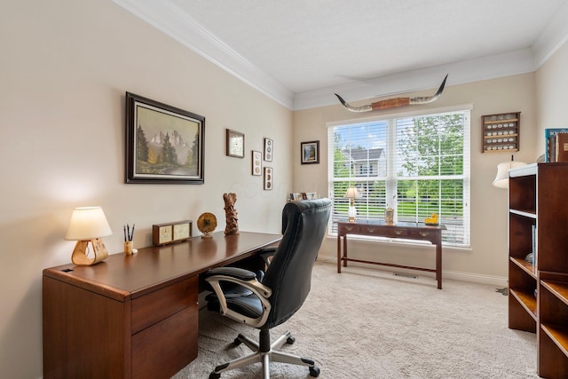 6674 Letterman Dr, Powell, OH 43065 - home office with ornamental molding, carpet floors, and baseboards