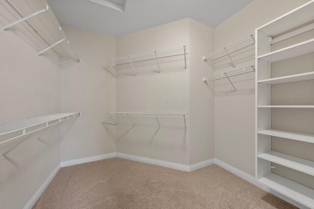 6674 Letterman Dr, Powell, OH 43065 - spacious closet featuring carpet floors