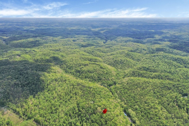 28306 Allison Rd, Mcarthur, OH 45651 - aerial view of a heavily wooded area