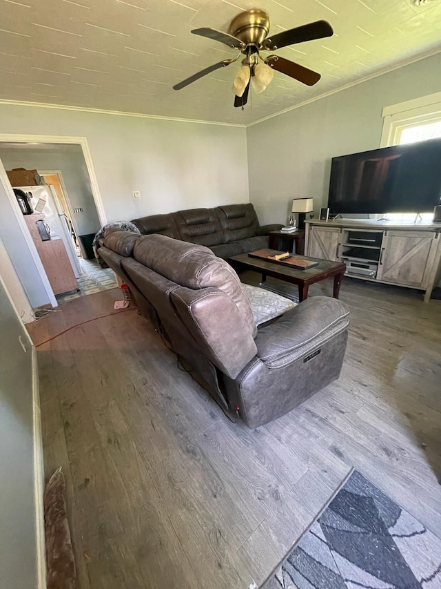 1985 Sedan Ave, Obetz, OH 43207 - living room with wood finished floors, ceiling fan, and ornamental molding