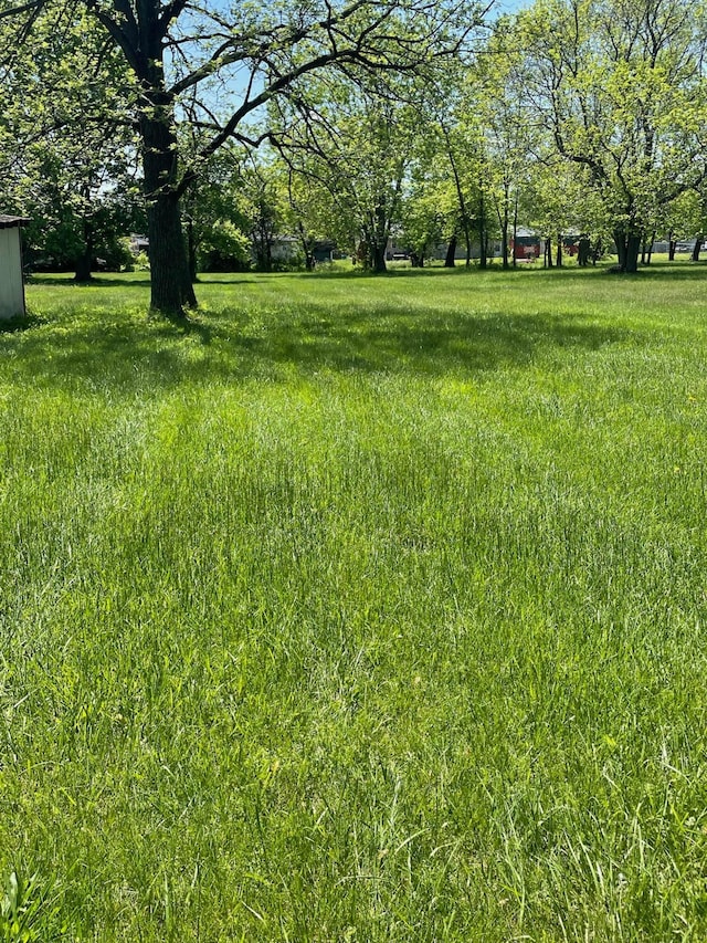 1985 Sedan Ave, Obetz, OH 43207 - view of yard