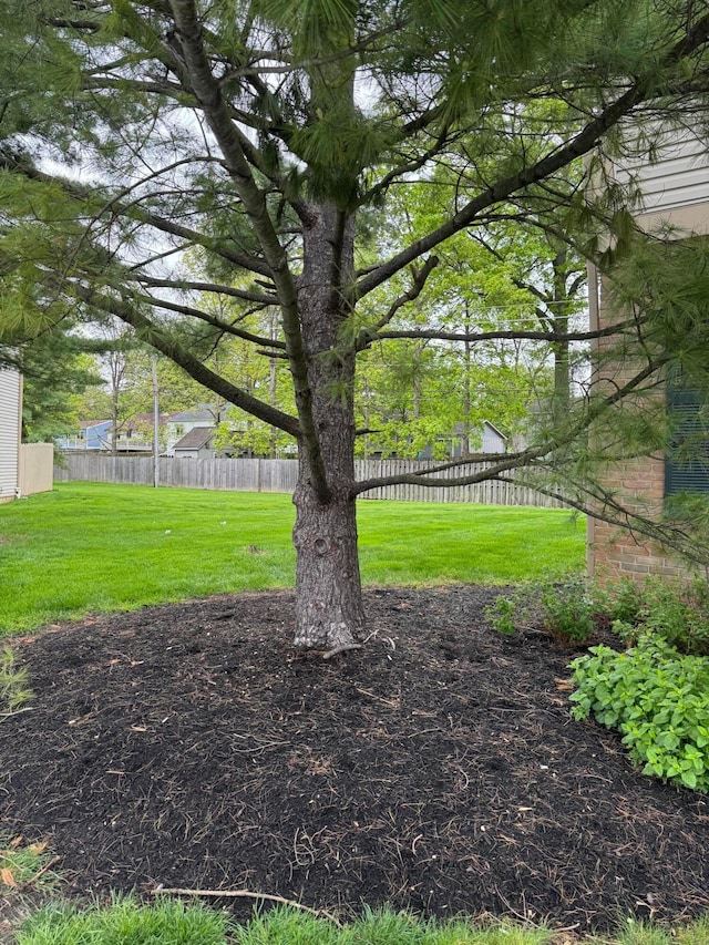 7782 Hansgrove Ct, Dublin, OH 43016 - view of yard