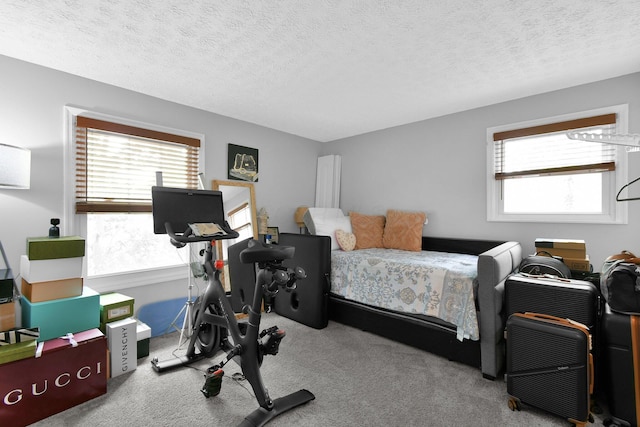 6528 Shenandoah Dr, Reynoldsburg, OH 43068 - bedroom with carpet and a textured ceiling