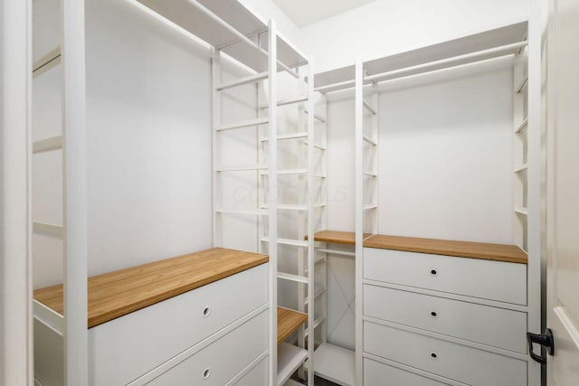 9162 Scenic View Cir, Columbus, OH 43240 - view of spacious closet