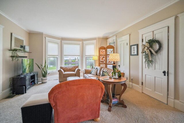 1452 W Cook Rd, Mansfield, OH 44906 - carpeted living area featuring ornamental molding and baseboards