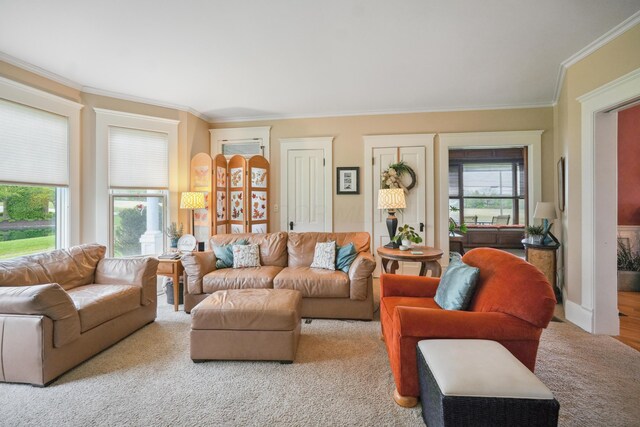 1452 W Cook Rd, Mansfield, OH 44906 - living area with ornamental molding