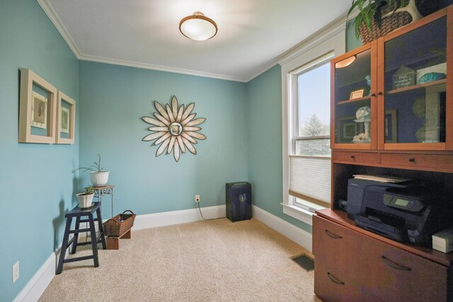 1452 W Cook Rd, Mansfield, OH 44906 - miscellaneous room featuring crown molding, carpet, and baseboards