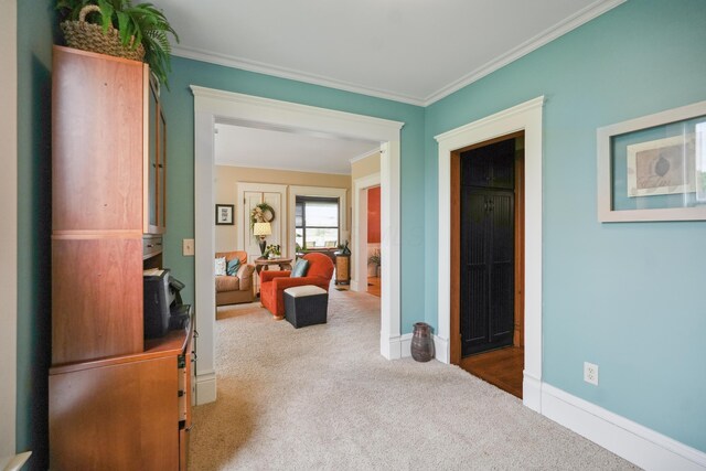 1452 W Cook Rd, Mansfield, OH 44906 - hallway featuring carpet floors, ornamental molding, and baseboards