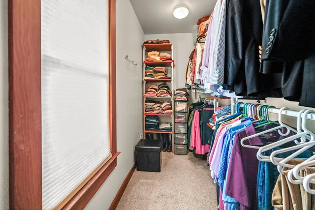1452 W Cook Rd, Mansfield, OH 44906 - walk in closet featuring carpet floors